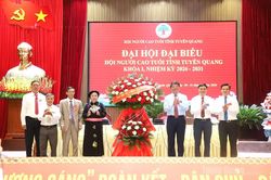 Đổi mới nội dung, phương thức hoạt động, xây dựng tổ chức hội vững mạnh