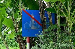 Biển b&aacute;o giao th&ocirc;ng bị c&acirc;y cối che khuất tầm nh&igrave;n.