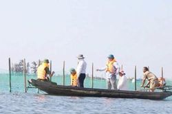 Các công trình vi phạm trên đầm phá ở Phú Vang: Cần tự giác tháo dỡ