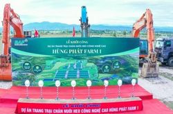BAF 6 tháng đầu năm 2026: Tăng 61% sản lượng heo so với cùng kỳ năm trước, đẩy mạnh đầu tư cho chu kỳ tăng trưởng mới