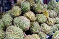Sầu ri&ecirc;ng tươi Việt Nam ch&iacute;nh thức được ph&eacute;p xuất khẩu sang Ấn Độ