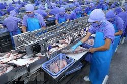 Vĩnh Hoàn mắc kẹt với cổ phiếu bất động sản
