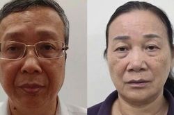 Góc nhìn văn hóa: Đừng để 'giấy phép con' làm tổn thương niềm tin thương hiệu nông sản Việt