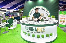 Vinaseed báo lãi quý II giảm hơn 30%, tồn kho vượt 1.000 tỷ đồng
