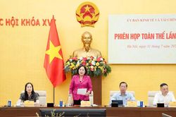 Phó Chủ tịch Quốc hội Nguyễn Thị Hồng dự Phiên họp toàn thể của Ủy ban Kinh tế và Tài chính