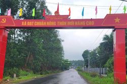 TP. Hồ Chí Minh: Xây dựng các xã nông thôn mới phát triển toàn diện gắn kết chặt chẽ với đô thị hóa