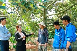 Xin mã số vùng trồng chỉ cần một loại giấy tờ