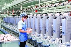 Dệt may Thành Công: Lợi nhuận hụt hơi, cổ phiếu rơi về đáy gần 6 năm
