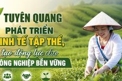 Tuyên Quang phát triển kinh tế tập thể, tạo động lực cho nông nghiệp bền vững