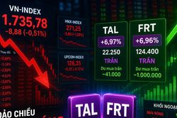 Cú đảo chiều gây choáng cuối phiên: VN-Index mất gần 9 điểm, TAL và FRT trắng bên bán