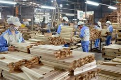 Ngành gỗ sản xuất xanh để nâng cao sức cạnh tranh
