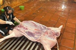 Xử lý hai cơ sở giết mổ lợn hoạt động trái quy định