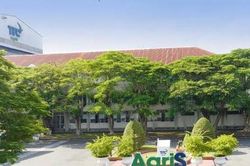 Doanh thu AgriS (SBT) vượt kế hoạch, mảng gạo đóng góp hơn 2.600 tỷ đồng