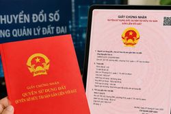Đề xuất cấp sổ đỏ đồng thời bản giấy và bản điện tử, có giá trị pháp lý như nhau