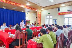 Phó Chủ tịch UBND tỉnh Lê Văn Sử chủ trì họp tháo gỡ khó khăn, vướng mắc về lâm nghiệp