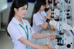 Kế hoạch 06 định hướng s&aacute;p nhập c&aacute;c trường đại học ra sao?