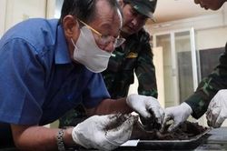Nghẹn ng&agrave;o khi nghe những c&acirc;u chuyện quy tập h&agrave;i cốt liệt sĩ tại c&ocirc;ng vi&ecirc;n L&ecirc; Thị Ri&ecirc;ng