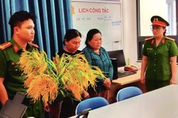 Bắt hai đối tượng chiếm đoạt công quỹ của Hội Cựu Thanh niên xung phong