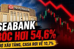 Lợi nhuận SeABank bốc hơi 54,6%, nợ xấu tăng, CASA rơi về 10,7%