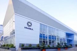 Vinamilk lãi hợp nhất quý II tăng gần 28%, công ty mẹ chỉ tăng 3,69%