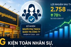 MWG kiện toàn nhân sự, lợi nhuận quý I/2026 tăng mạnh nhờ bán lẻ
