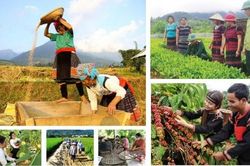 Xã Thuận Hạnh hỗ trợ phát triển sản xuất, nâng cao thu nhập cho đồng bào dân tộc thiểu số