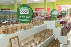 N&acirc;ng cao chất lượng, gi&aacute; trị v&agrave; thương hiệu sản phẩm OCOP