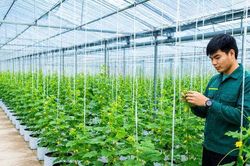 Tin tức đặc biệt trên ấn phẩm Hànôịmới ngày 31-7-2026
