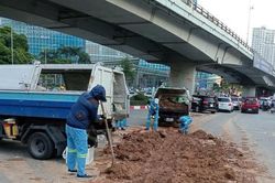 Xe chở vật liệu rơi vãi ra đường: Cần xử lý từ gốc