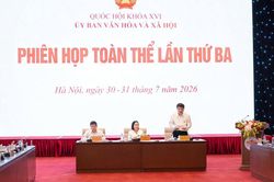Ủy ban Văn hóa và Xã hội thẩm tra 3 dự án luật quan trọng trình Quốc hội