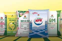 VND định giá mục tiêu cổ phiếu DCM ở mức 49.800 đồng