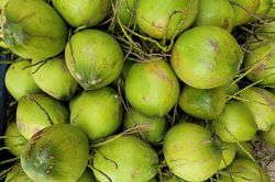 Trái dừa muốn thoát cảnh 'núp bóng' ông lớn nước ngoài