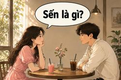 'Sến' nghĩa là gì, 'Marie Sến' là ai?