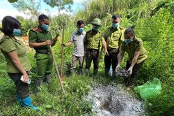Thái Nguyên: Tiêu hủy 6 cá thể rắn hổ mang là tang vật buôn bán trái phép