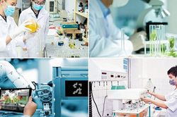 Chỉ đạo, điều hành của Chính phủ, Thủ tướng Chính phủ nổi bật tuần 25-31/7/2026