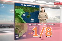 [Video] Dự báo thời tiết ngày 1/8/2026: Bắc Bộ còn mưa dông, Trung và Nam Bộ có nắng gián đoạn
