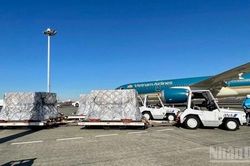Khơi thông nguồn lực trở thành trung tâm logistics hàng không khu vực