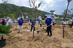 Hành trình xanh trong phát triển bền vững tại Quy Nhơn