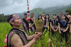 Độc đáo lễ cúng Thần Sâm của đồng bào người Xơ Đăng