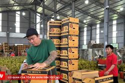 Chủ tịch Đắk Lắk: Phải mời KOL Trung Quốc dự lễ hội sầu riêng