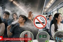 Luật Phòng chống tác hại thuốc lá trong giao thông