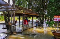 Hành lang thoát lũ hồ Dầu Tiếng ở TP Hồ Chí Minh bị lấn chiếm, 'bóp nghẹt'
