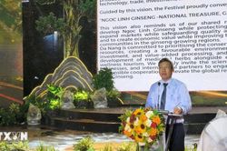 Khai mạc Lễ hội Sâm Ngọc Linh và dược liệu quốc tế Đà Nẵng 2026