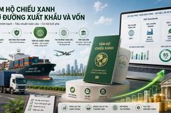 Dữ liệu xanh - Bài cuối: 'Tấm hộ chiếu' mở đường xuất khẩu và dòng vốn