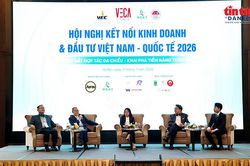 Mở rộng kết nối kinh doanh và đầu tư Việt Nam với thị trường quốc tế