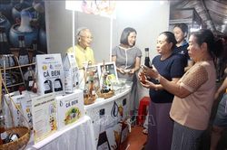 Lễ hội Cầu ngư Phan Thiết mang đậm n&eacute;t văn h&oacute;a đặc sắc ngư d&acirc;n v&ugrave;ng biển L&acirc;m Đồng