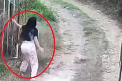 Đang ở nhà, người phụ nữ chết lặng khi thấy cảnh tượng 'đáng sợ' ngay trước cổng