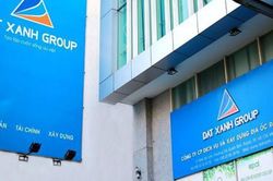 Bluemarq Group tăng doanh thu song lợi nhuận đi lùi vì chi phí phình to