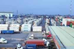 VASEP kiến nghị ph&aacute;t triển đội t&agrave;u container lạnh của Việt Nam