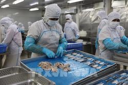 Kinh tế nhà nước TP. Hồ Chí Minh: Chuyển từ quy mô sang hiệu quả